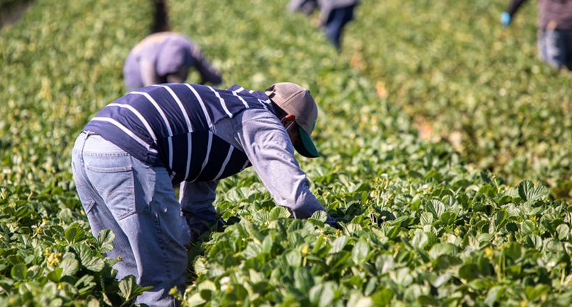Greenridge Farm Agrees to $3 Million Settlement over Unpaid Overtime Wages Claims